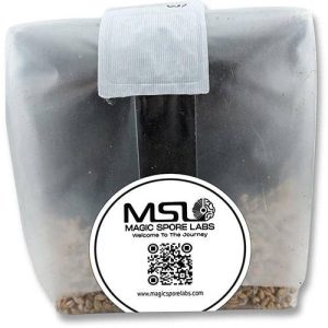 Mushroom Grow Kit
